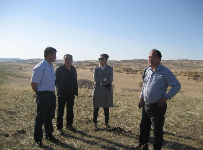 發(fā)揮資源優(yōu)勢(shì)，提高產(chǎn)業(yè)鏈競(jìng)爭力——協(xié)會(huì)為企業(yè)間的合作搭建平臺(tái)