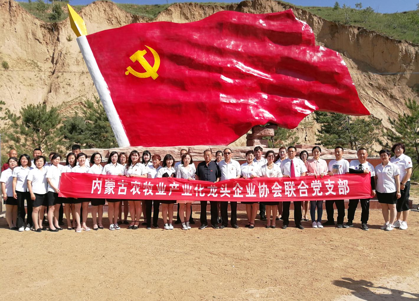 內(nèi)蒙古農(nóng)牧業(yè)產(chǎn)業(yè)化龍頭企業(yè)協(xié)會(huì)走進(jìn)石人灣村開(kāi)展“辦實(shí)事、解難題，送溫暖，傳黨恩”公益活動(dòng)